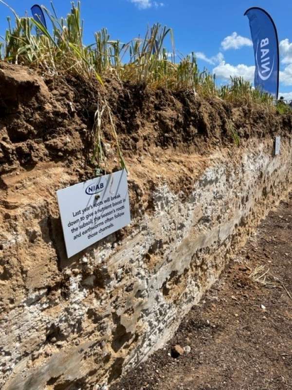 Cereals Event 2022